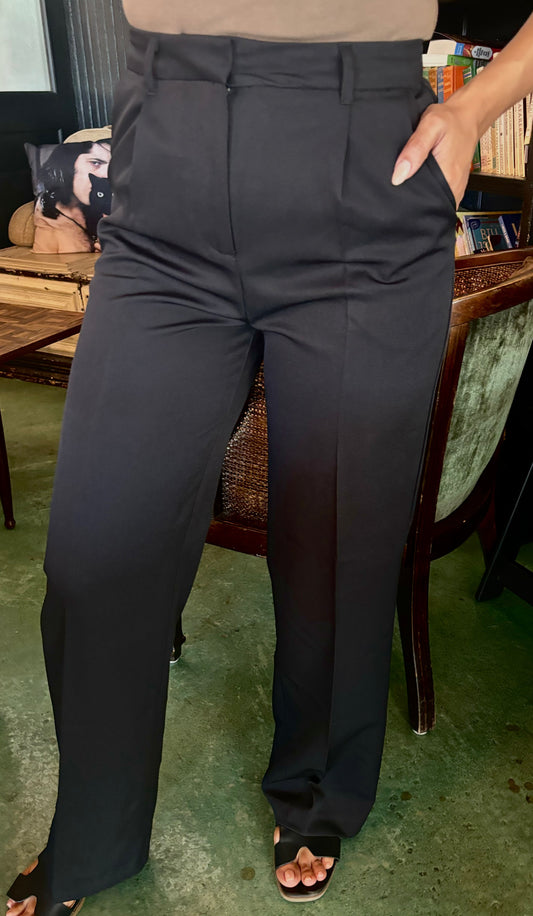 Pleated Dress Pants